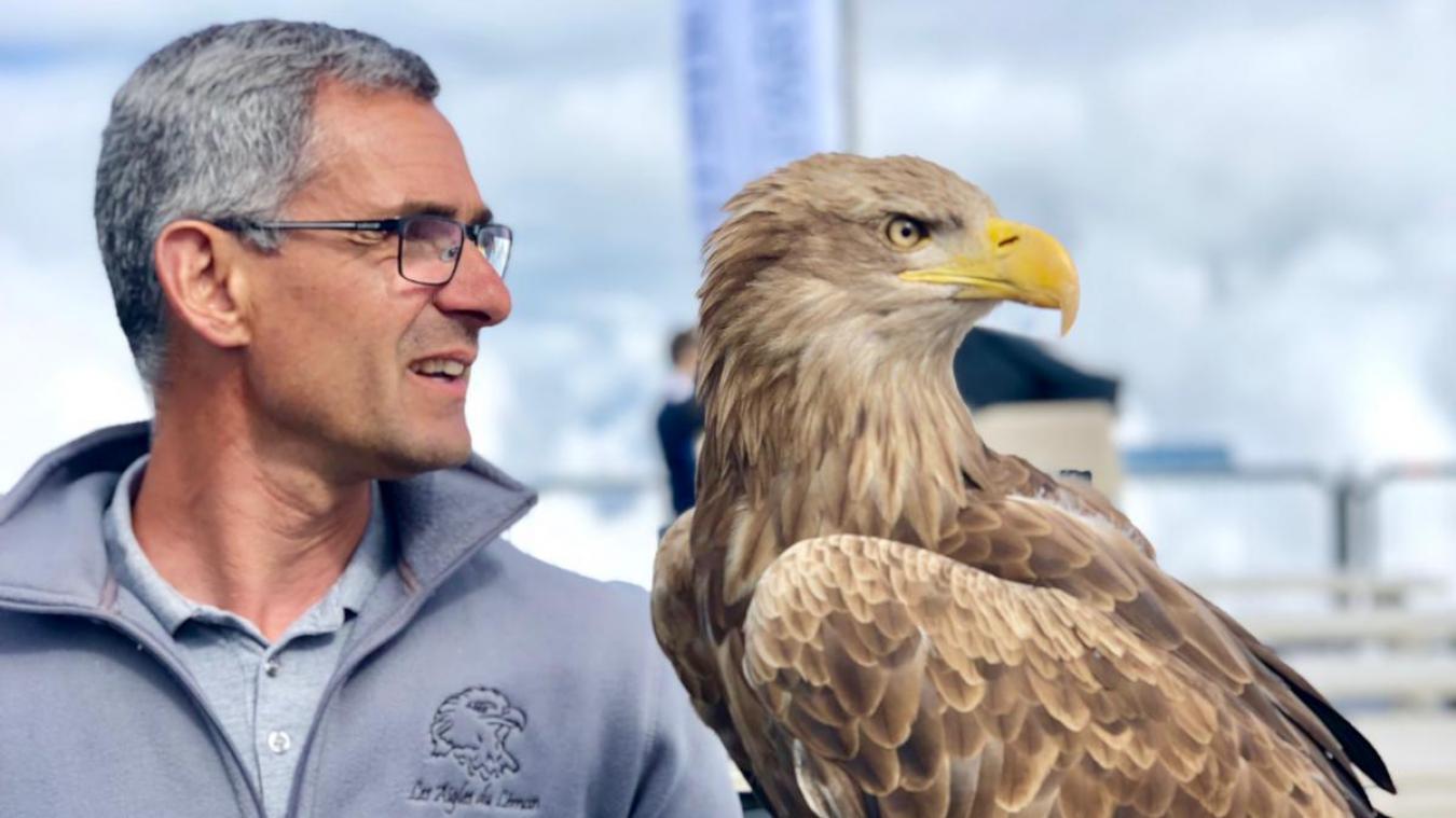 Le plus grand aigle d Europe bient t de retour sur les rives du